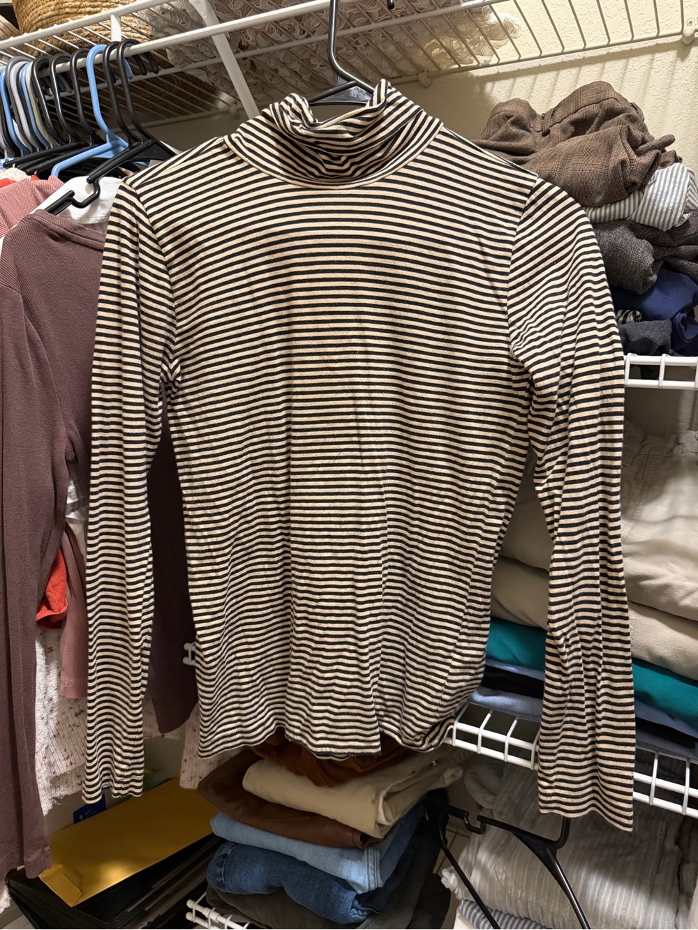 J. Crew Cream and Black Striped Turtleneck Top
